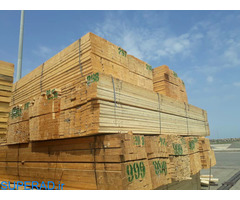 خرید و فروش چوب و ملزومات ساختمان با قیمت ارزان در فروشگاه حقانی