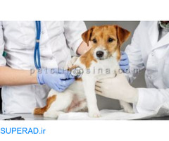 واکسیناسیون حیوانات خانگی